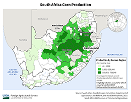 images\SF\cropprod\SouthAfrica_Corn_preview.png